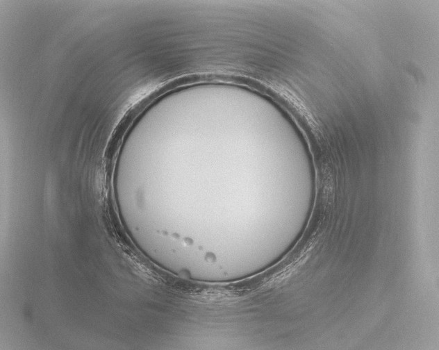 X0000116430974200912221502