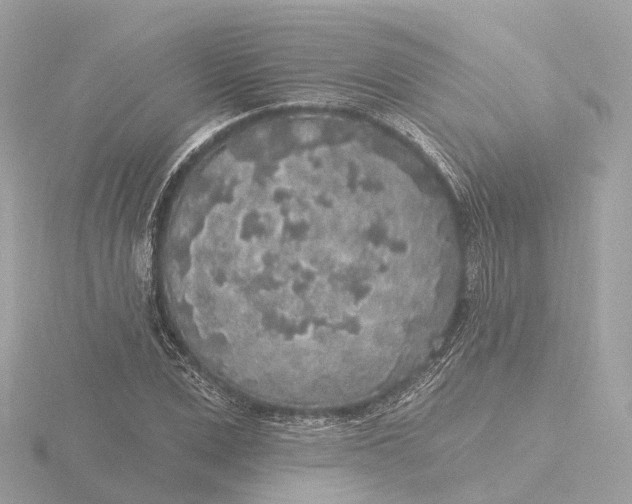 X0000116430975200912221502