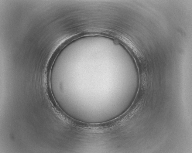 X0000116430976200912221502