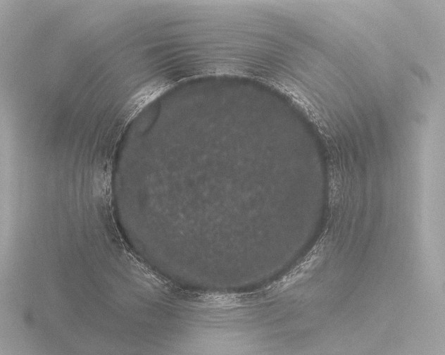 X0000116430977200912221502