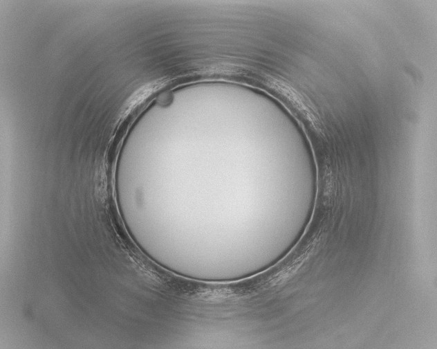 X0000116430978200912221501