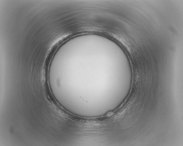 X0000116430979200912221501