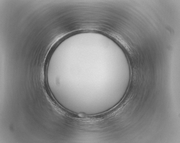 X0000116430980200912221501