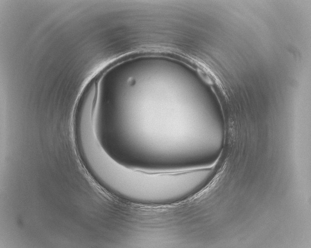 X0000116430981200912221501