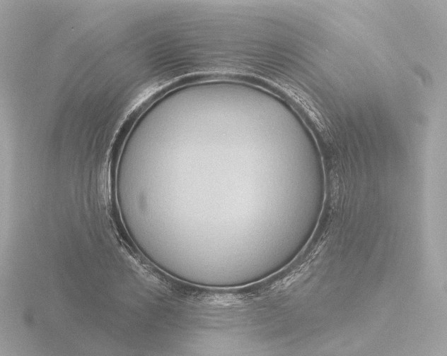 X0000116430982200912221501