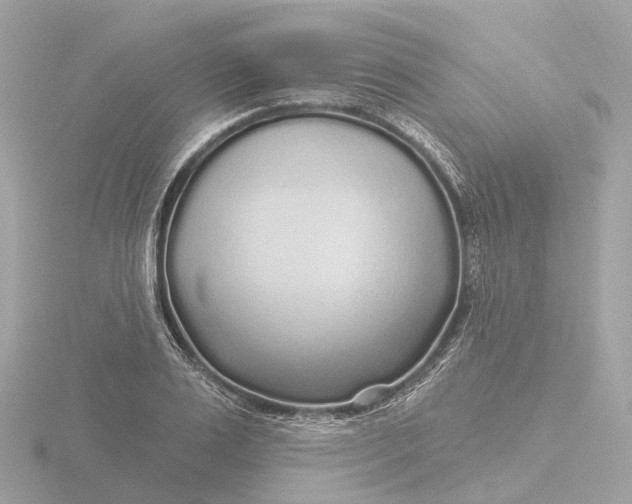 X0000116430983200912221501