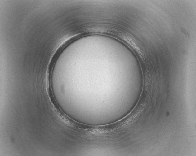 X0000116430984200912221501