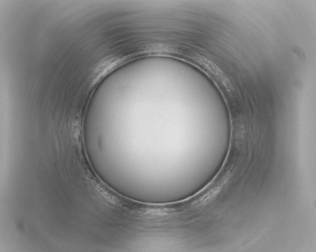 X0000116430985200912221501