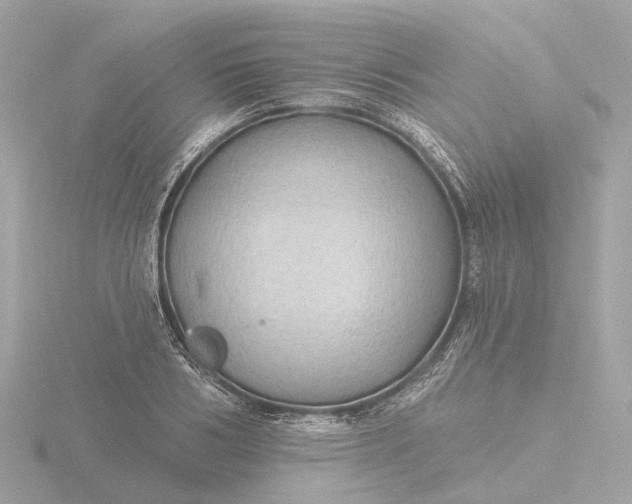 X0000116430986200912221501