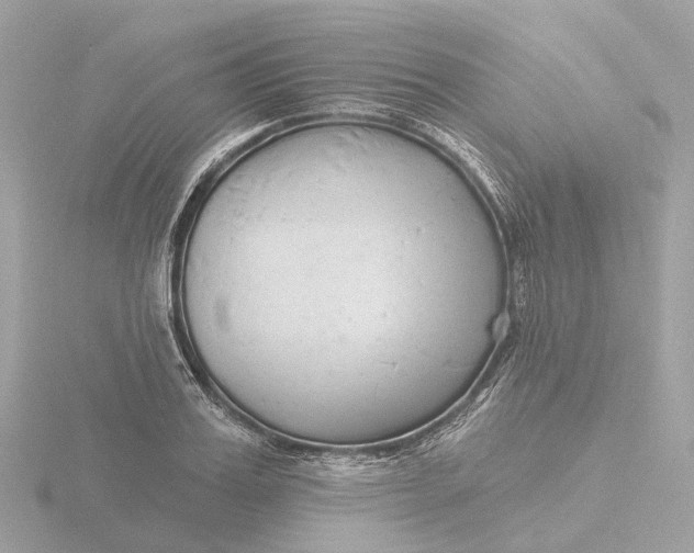 X0000116430987200912221501