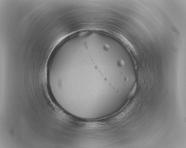 X0000116430988200912221501