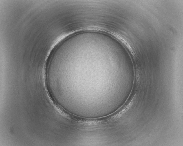 X0000116430989200912221501