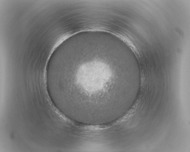 X0000116430990200912221501