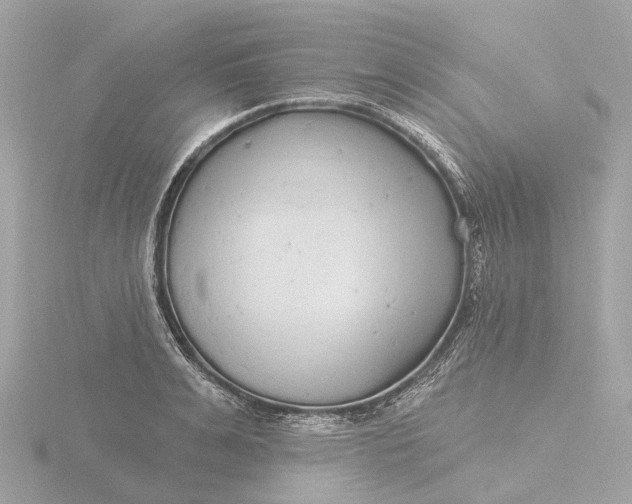 X0000116430991200912221501