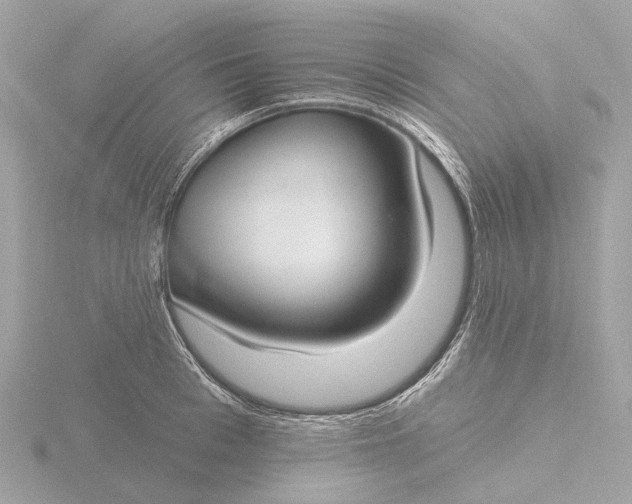 X0000116430993200912221501