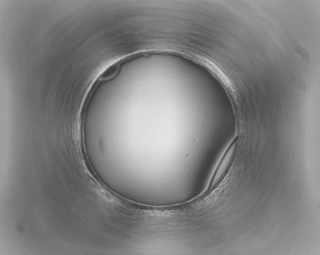 X0000116430996200912221501