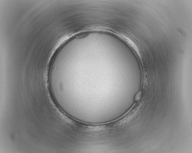 X0000116430997200912221501