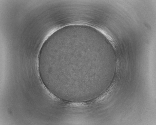 X0000116430998200912221501