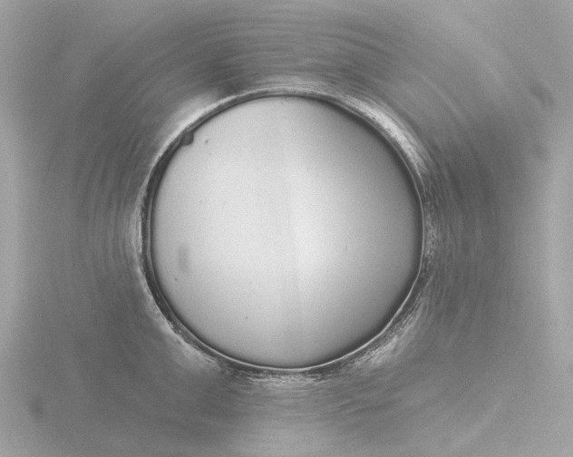 X0000116430999200912221501