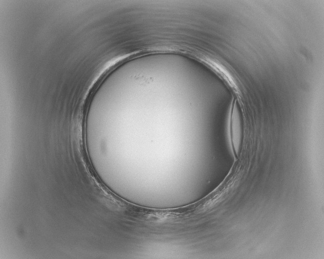 X0000116431000200912221501