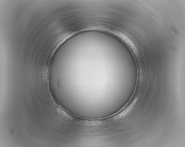 X0000116431001200912221501