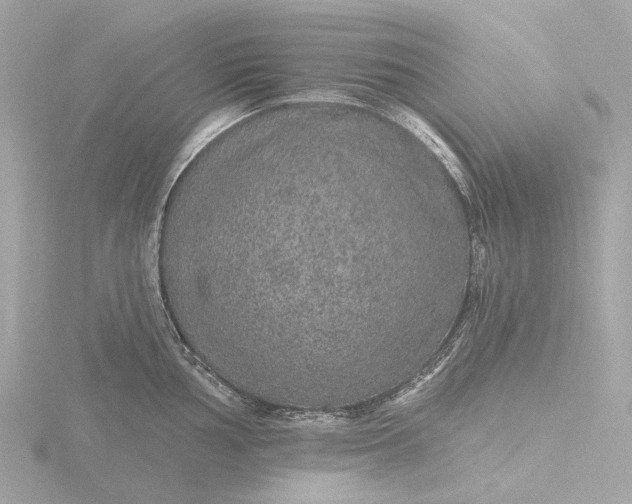 X0000116431002200912221501