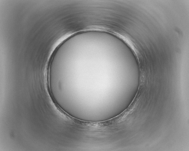 X0000116431003200912221501