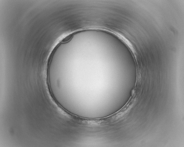 X0000116431005200912221501