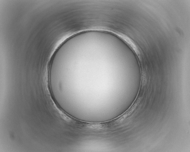 X0000116431006200912221501