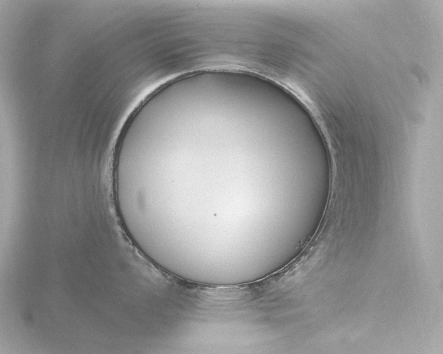 X0000116431008200912221501