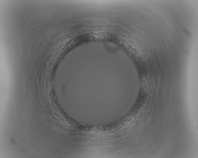 X0000116431009200912221501