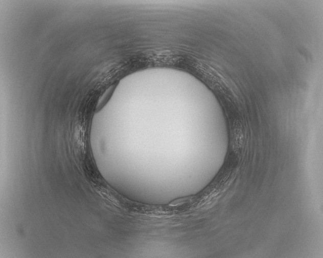 X0000116431010200912221501