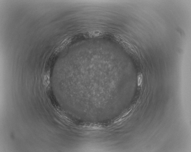 X0000116431011200912221501