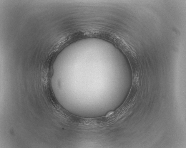 X0000116431012200912221501