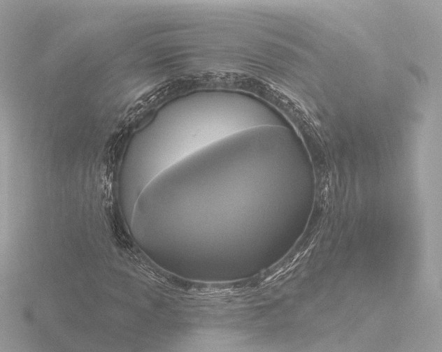 X0000116431013200912221501