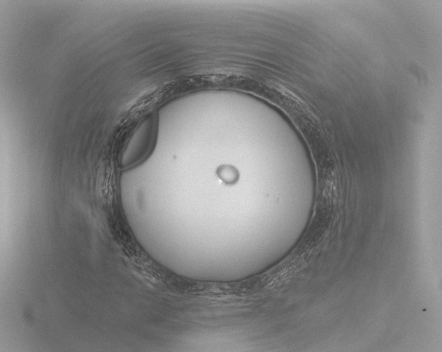 X0000116431014200912221501