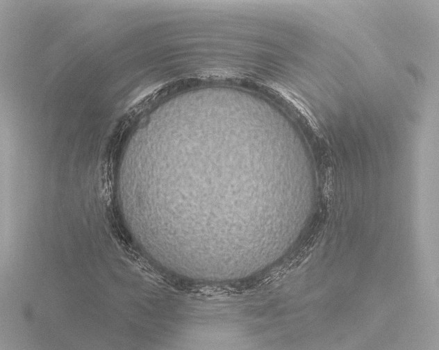 X0000116431015200912221501