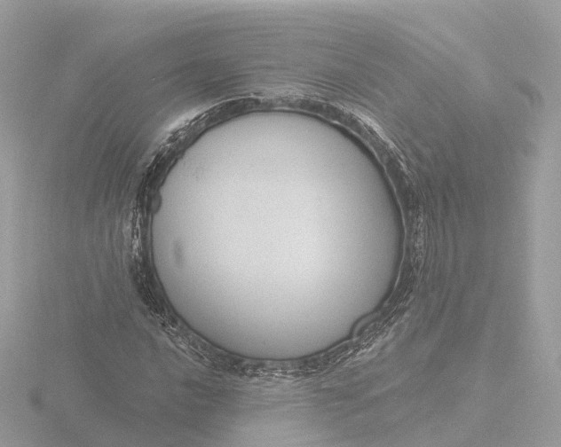 X0000116431016200912221501