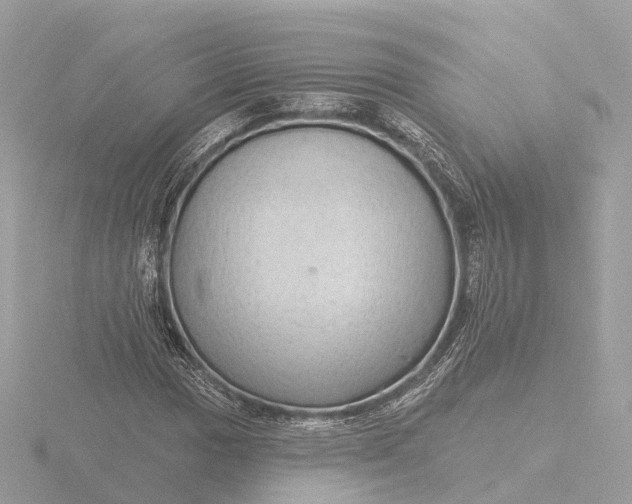 X0000116431017200912221501