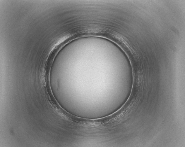 X0000116431018200912221501