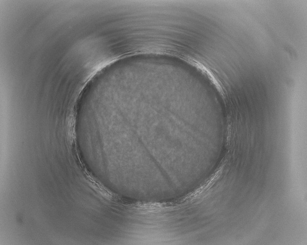 X0000116431019200912221501