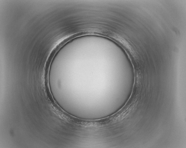 X0000116431020200912221501