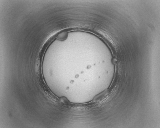 X0000116431021200912221501