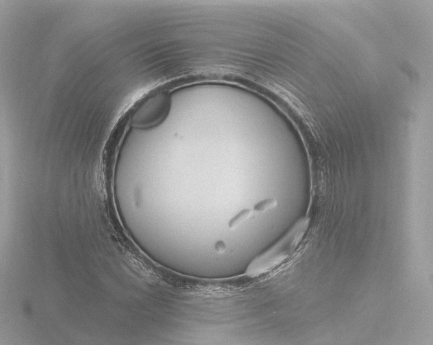 X0000116431022200912221501