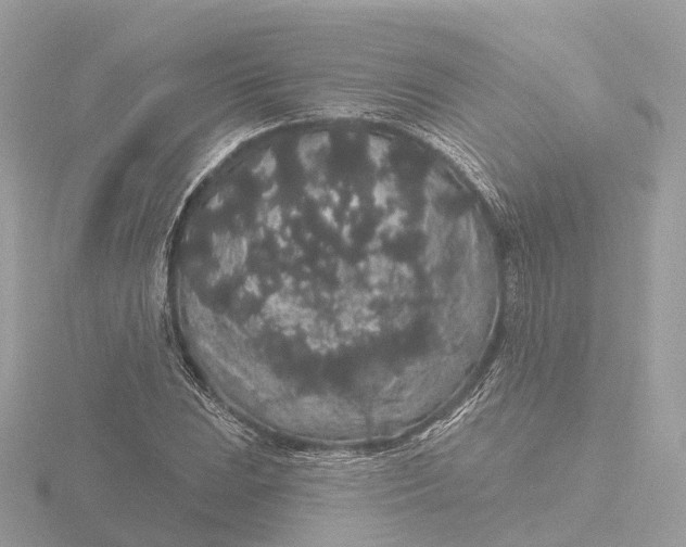 X0000116431023200912221501