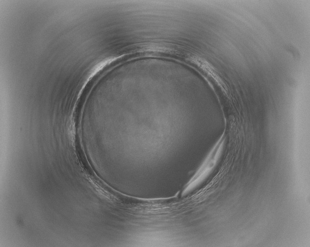 X0000116431024200912221501