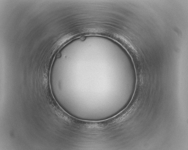 X0000116431025200912221501