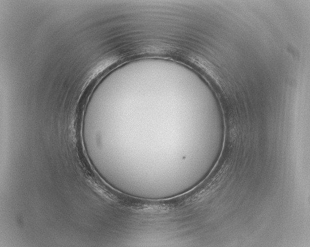 X0000116431026200912221501