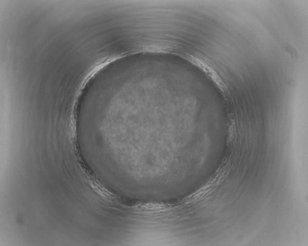 X0000116431027200912221501