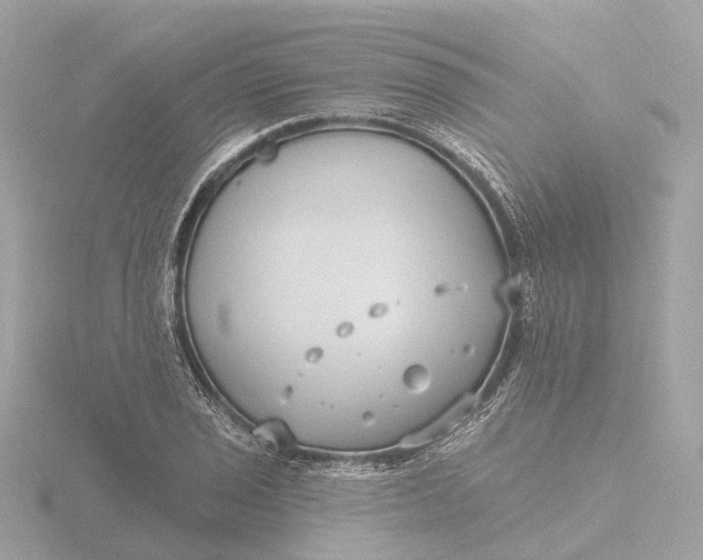 X0000116431029200912221501